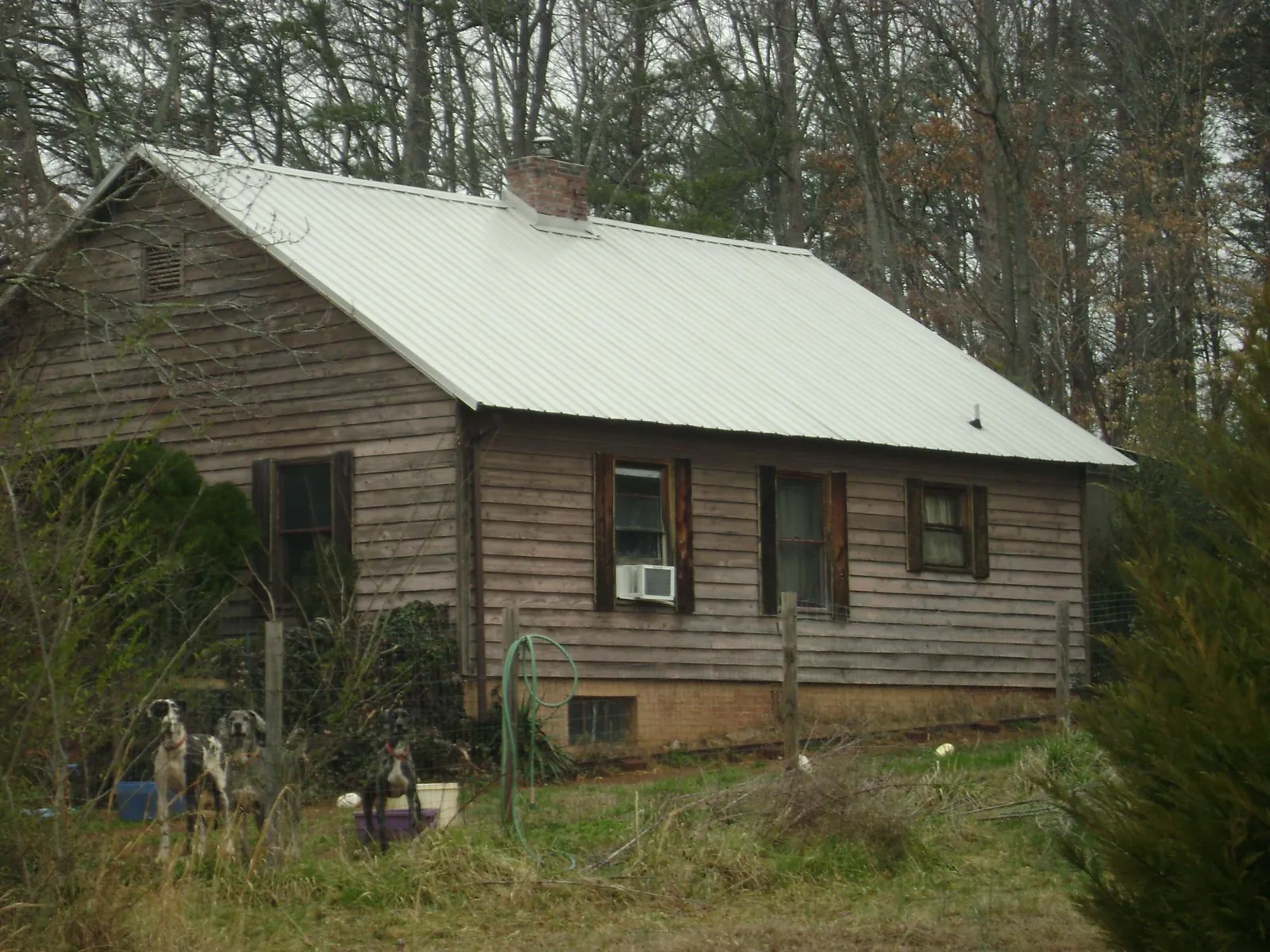 White metal roof on an old wood sided farmhouse, from a Metal Roof Installation job in Stevensville